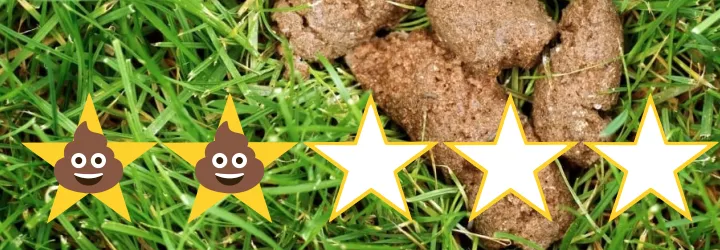 Dog poop in park rated two stars