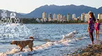 Woman and girl on beach with a brown and a white dog playing in the water