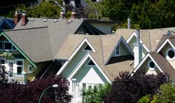 Roofs of houses